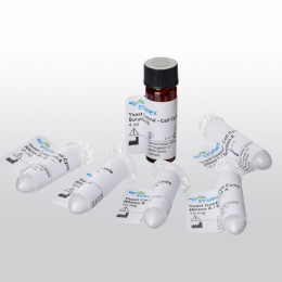 酵母細胞周期檢測試劑盒Yeast Control? - Cell Cycle