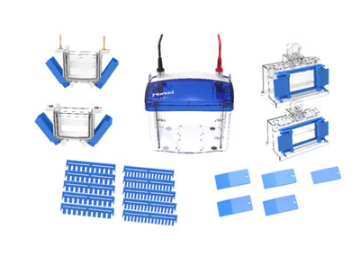 Mini MP4 迷你垂直電泳槽